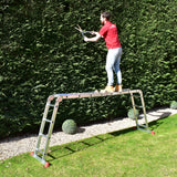 Multifunctionele Ladder